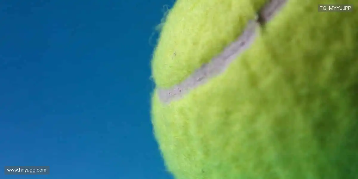 🏆见证荣耀时刻，热血永不落幕！🔥